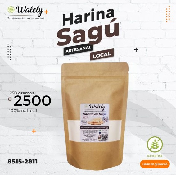 Producto 14